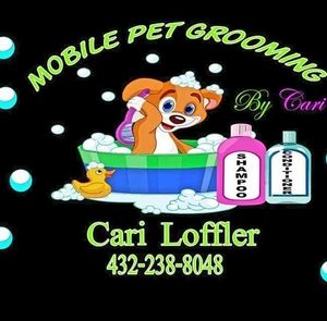 Meet your Posher, Cari